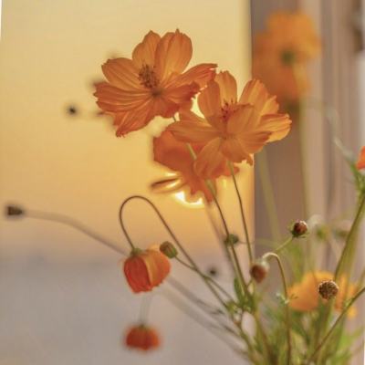 三亚房地产信息网